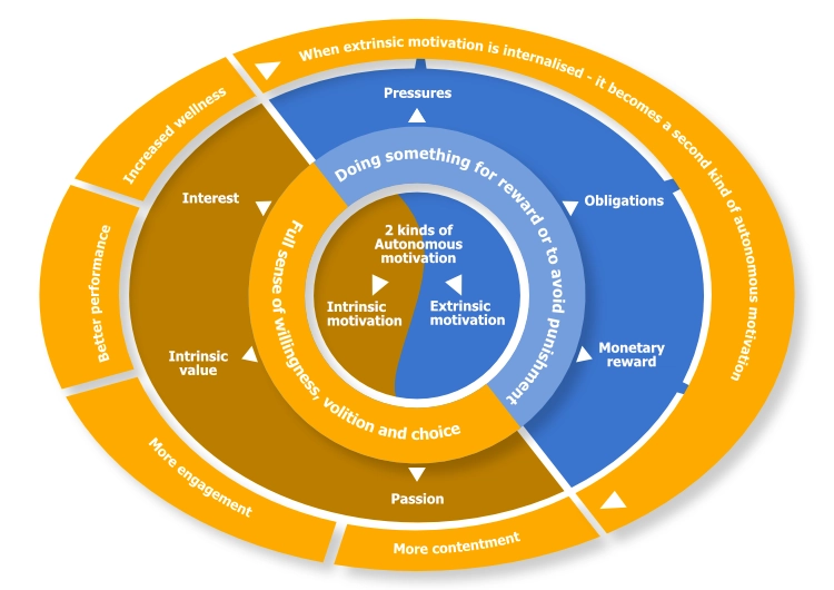 Career Self-determination Theory