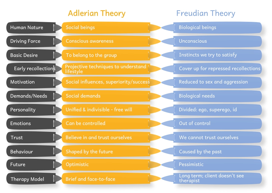 Representation of the difference between Adlerian Theory and Freudian Theory