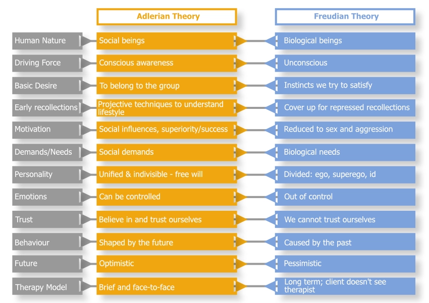 Representation of the difference between Adlerian Theory and Freudian Theory