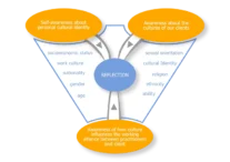 Culture-infused-career-counselling