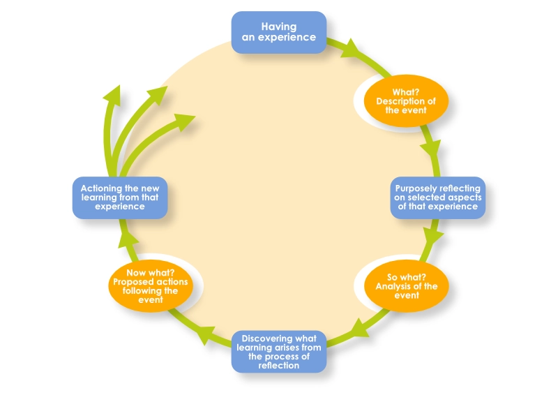 The ‘What’ Model