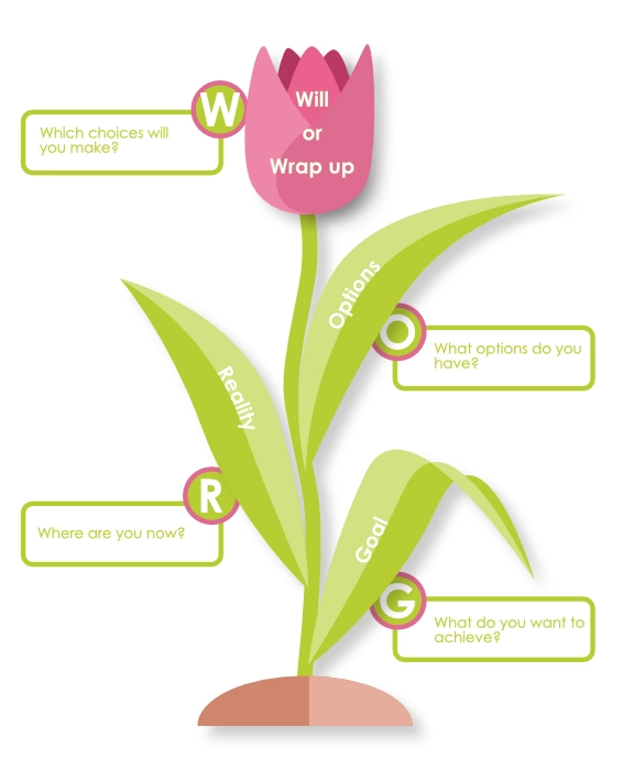 Representation of the GROW model.