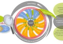 Psychology-of-working-Blustein