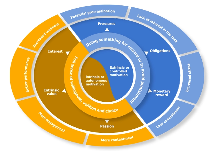 Self-determination-theory