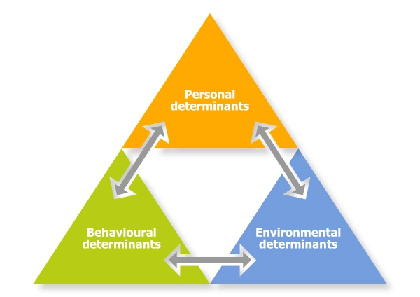Social Learning Theory Social Learning Theory