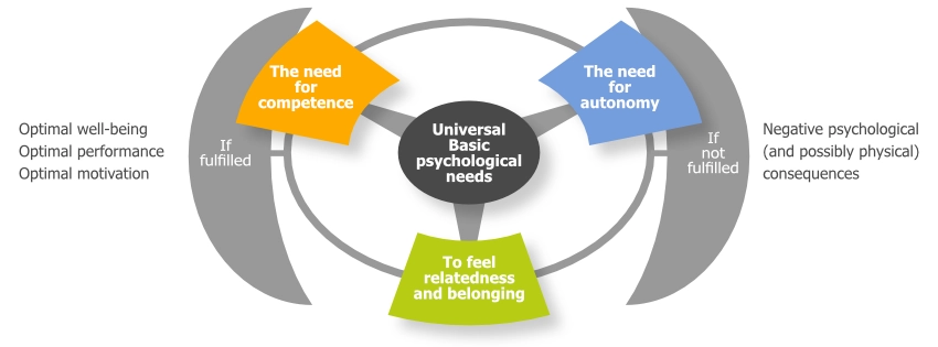 3 Basic human needs: competence, autonomy and relatedness and belonging