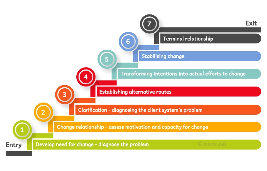 7 Stage model - Ronald Lippitt 2025