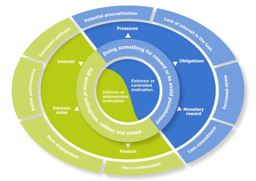 Image of a star with the different elements of Acceptance and Commitment Therapy/Training (ACT)