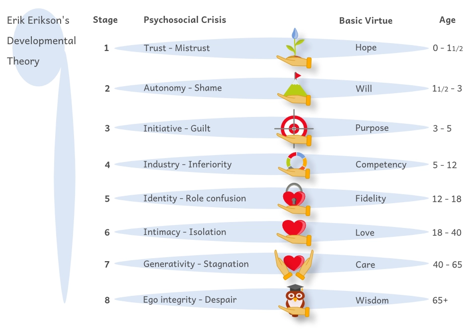 Erikson's Developmental Theory graphic 2026